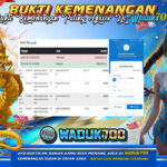 BUKTI JACKPOT SLOT WILD BOUNTY SHOWDOWN TERPERCAYA DI INDONESIA TGL 15-08-2025